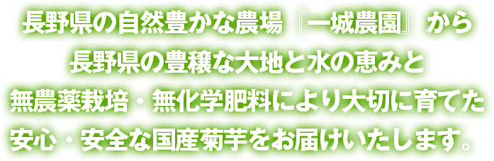 長野県の自然豊かな農場『一城農園』から長野県の豊穣な大地と水の恵みと無農薬栽培・無化学肥料により大切に育てた安心・安全な国産菊芋をお届けいたします。